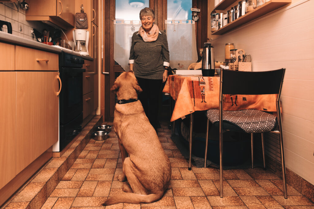 Les repas - photo d'un chien attendant son repas