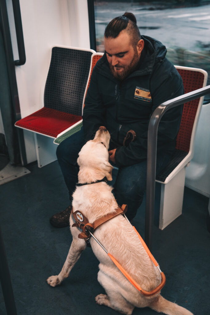 les droits du chien guide. Un homme assis dans le métro avec son labrador sable qui porte le harnais