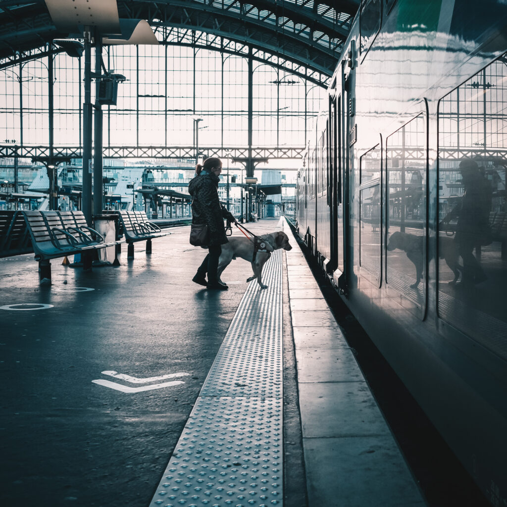 droits du chien guide, une dame rentre dans le train avec son chien guide labrador sable