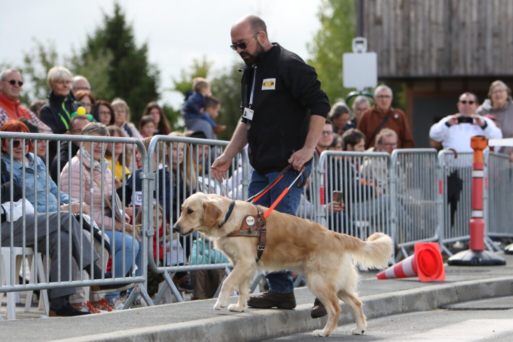 Image de la fête des chiens guides 2022