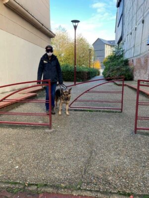 Ragga petit chien grand destin en cours d'éducation