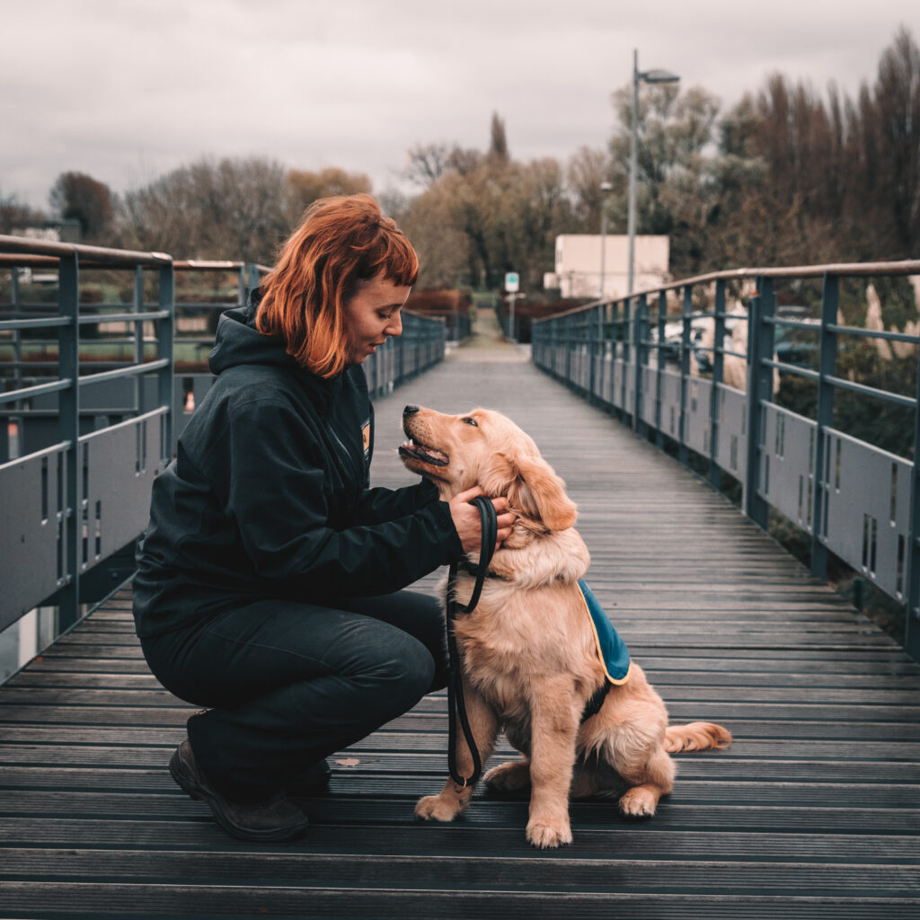 soutenir chiens guides - une jeune femme assises auprès de son chiot golden retriever