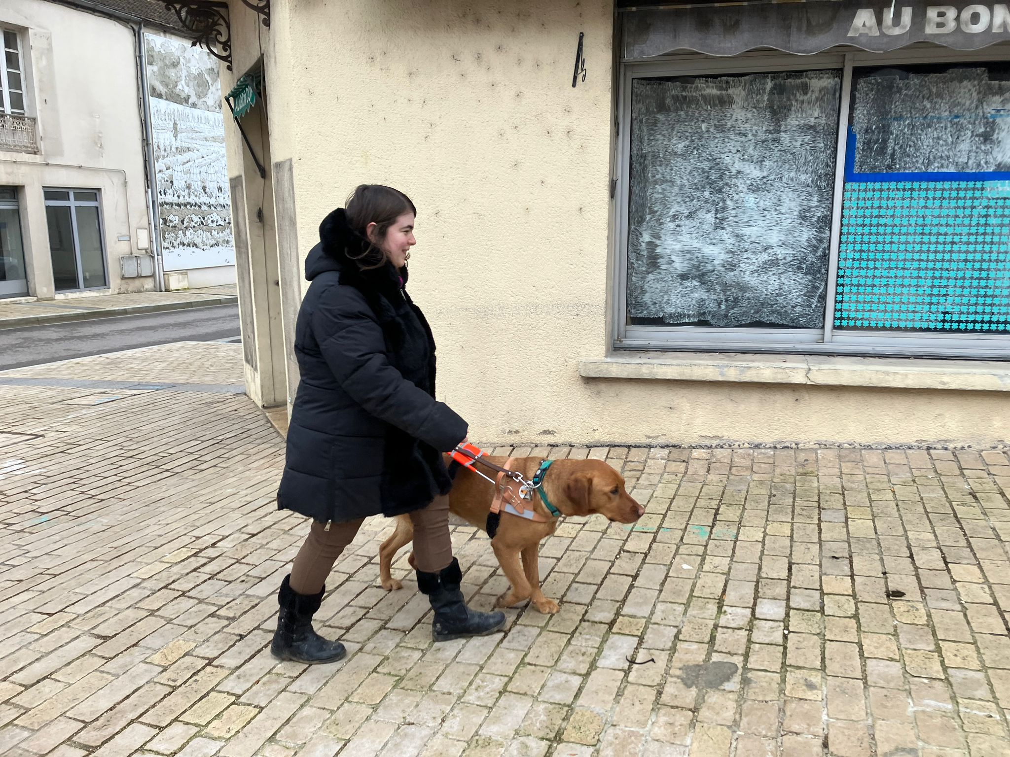 Saga remise chien guide - une dame marche avec son chien guide labrador sable