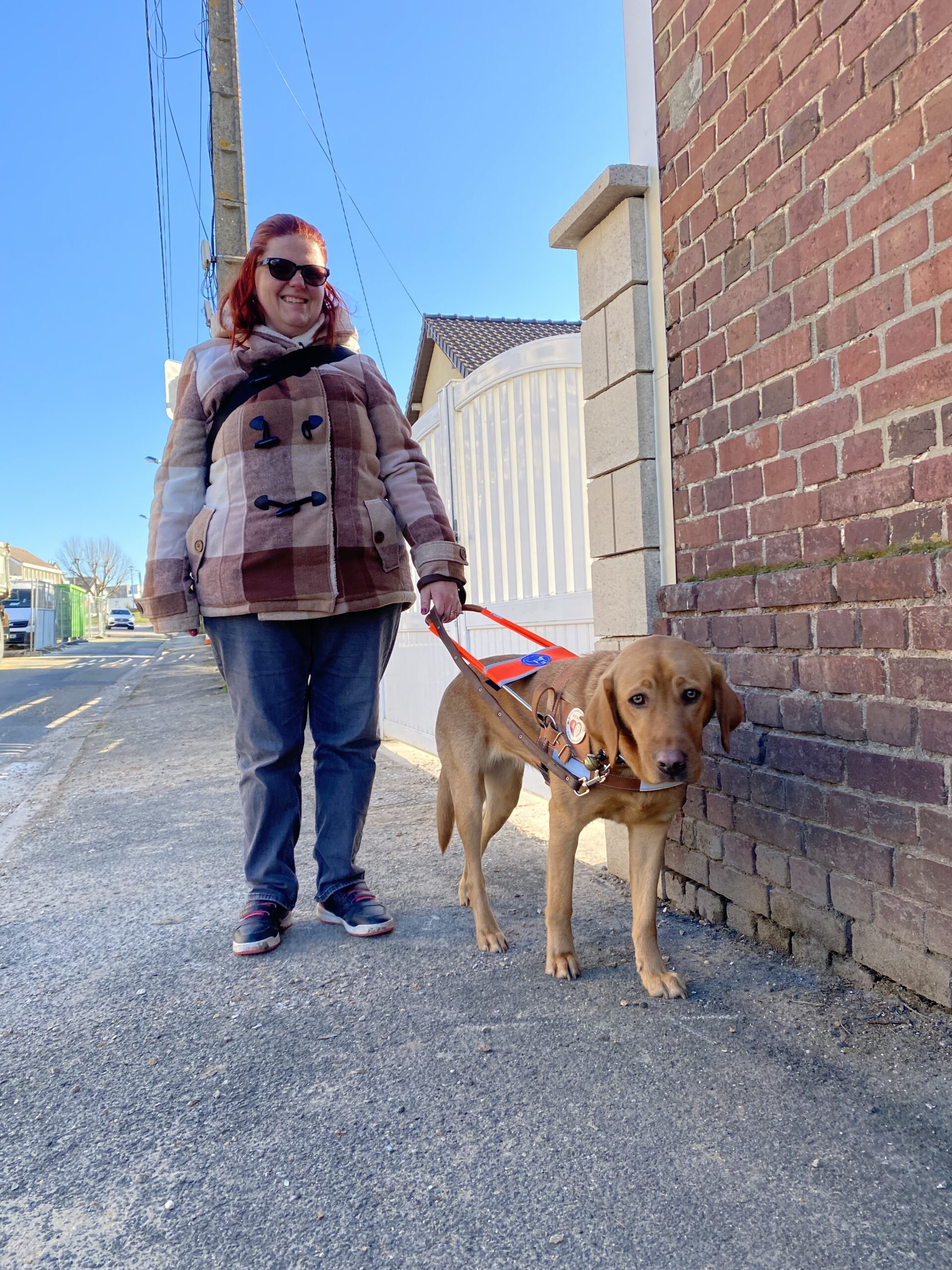 Remise de Sweety - une jeune femme en compagnie de son chien guide labrador sable