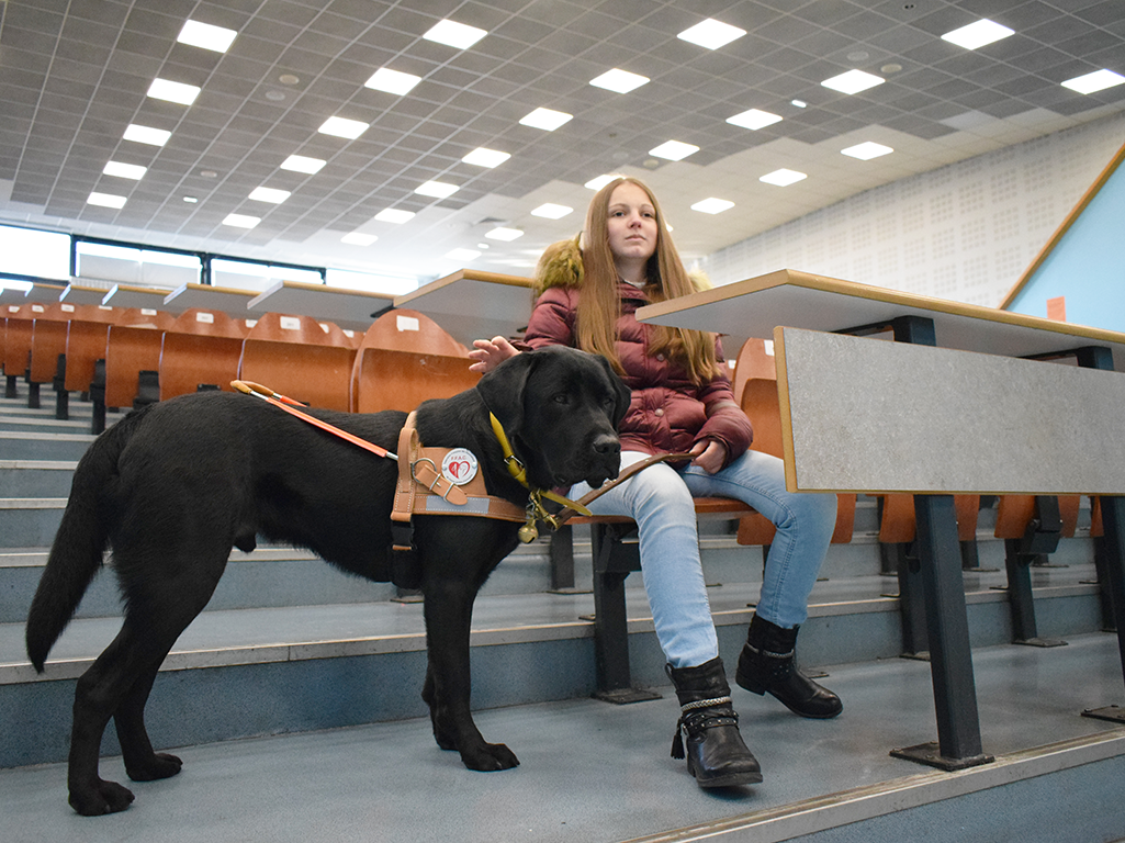 Wendy et Paradis 1800eme chien guide - à la faculté de droit