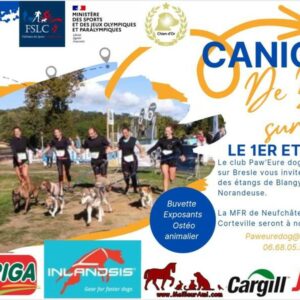 canicross de Blangy sur Bresle
