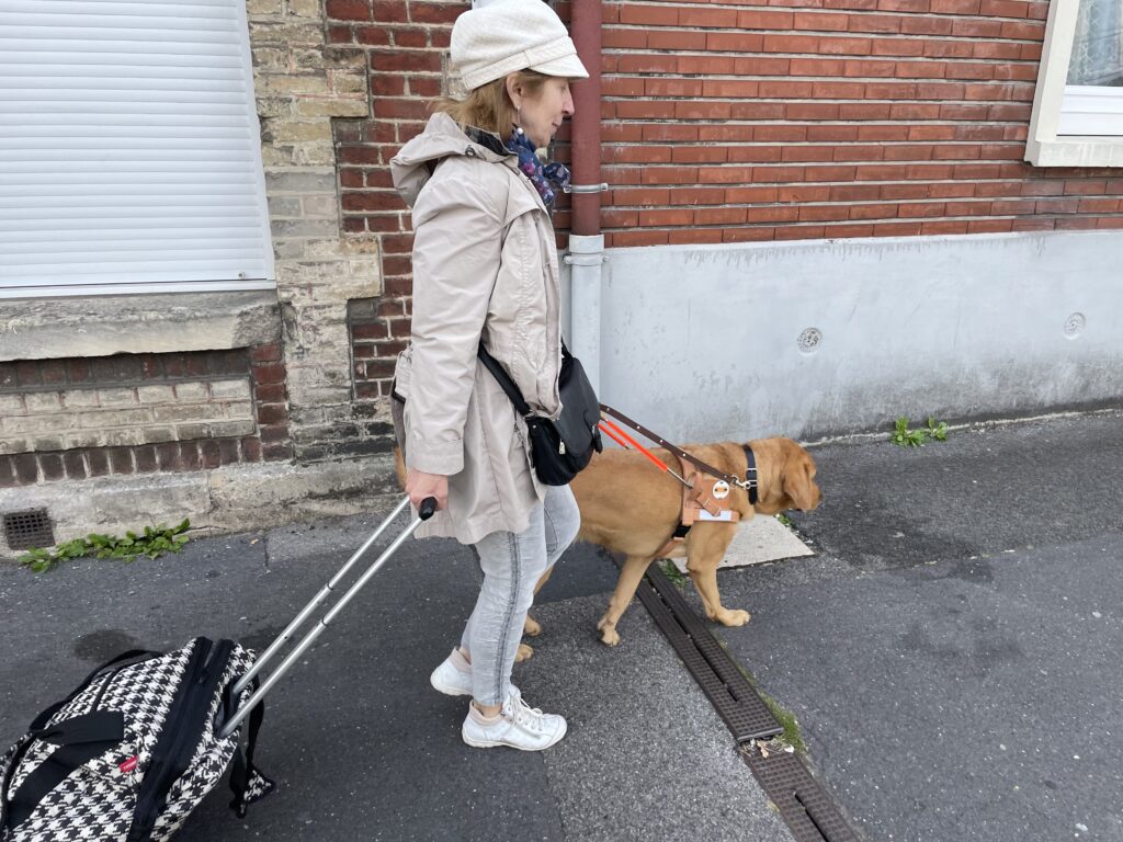 Remise de Samba, labrador sable à Françoise