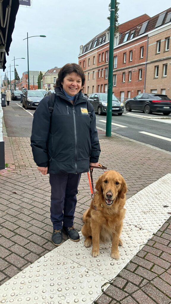 Remise de Tacos golden retriever