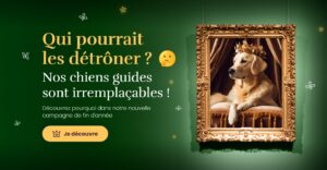 Qui pourrait les détrôner ? Nos chiens guides sont irremplaçables. Je découvre