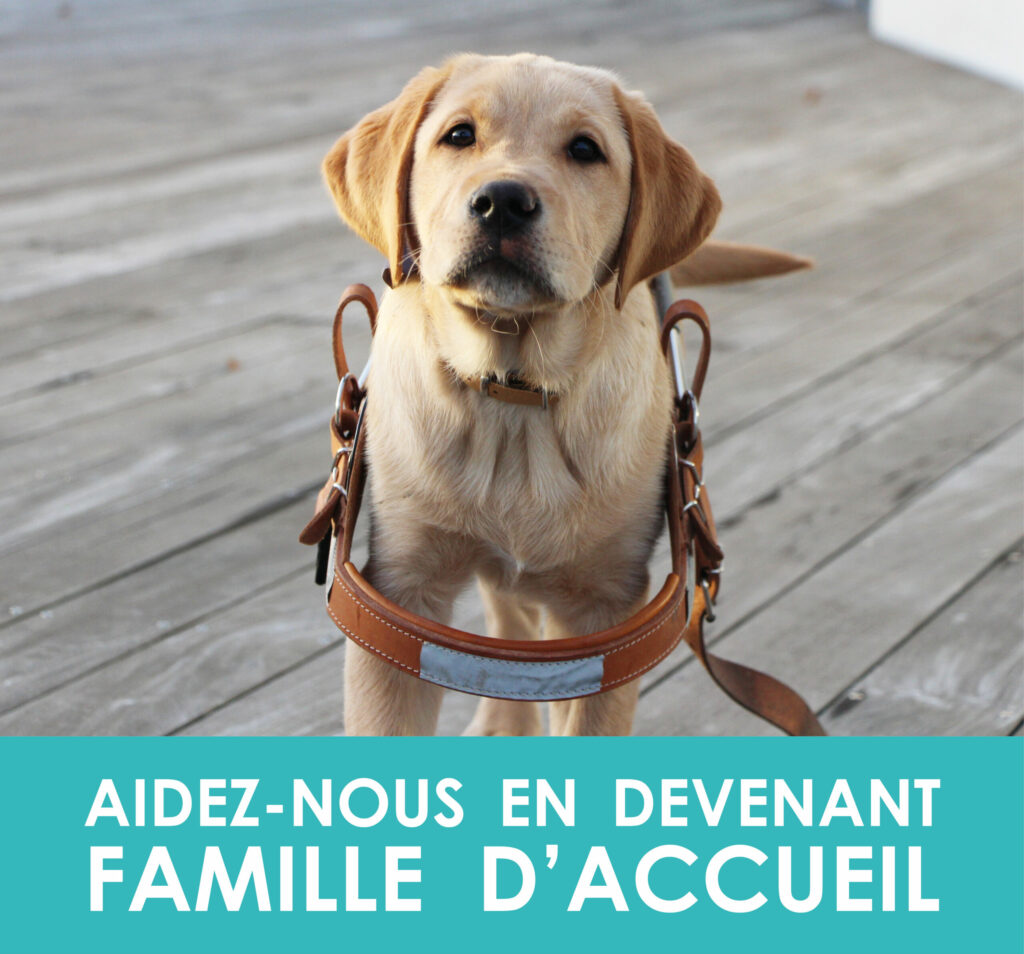 recherche familles accueil