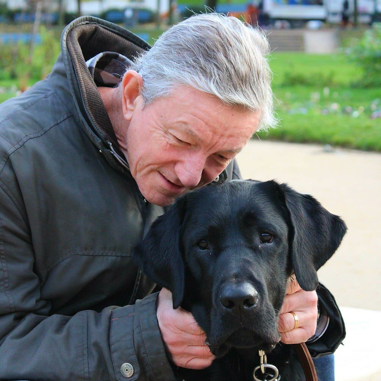 7 bonnes raisons pour oser faire une demande de chien guide