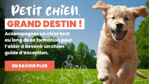 Petit chien grand destin 2025