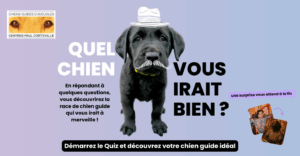Tel maître tel chien
