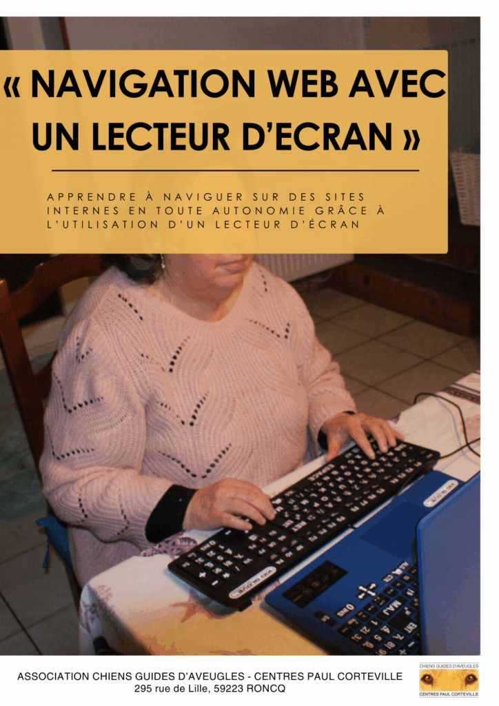 formation navigation web déficients visuels