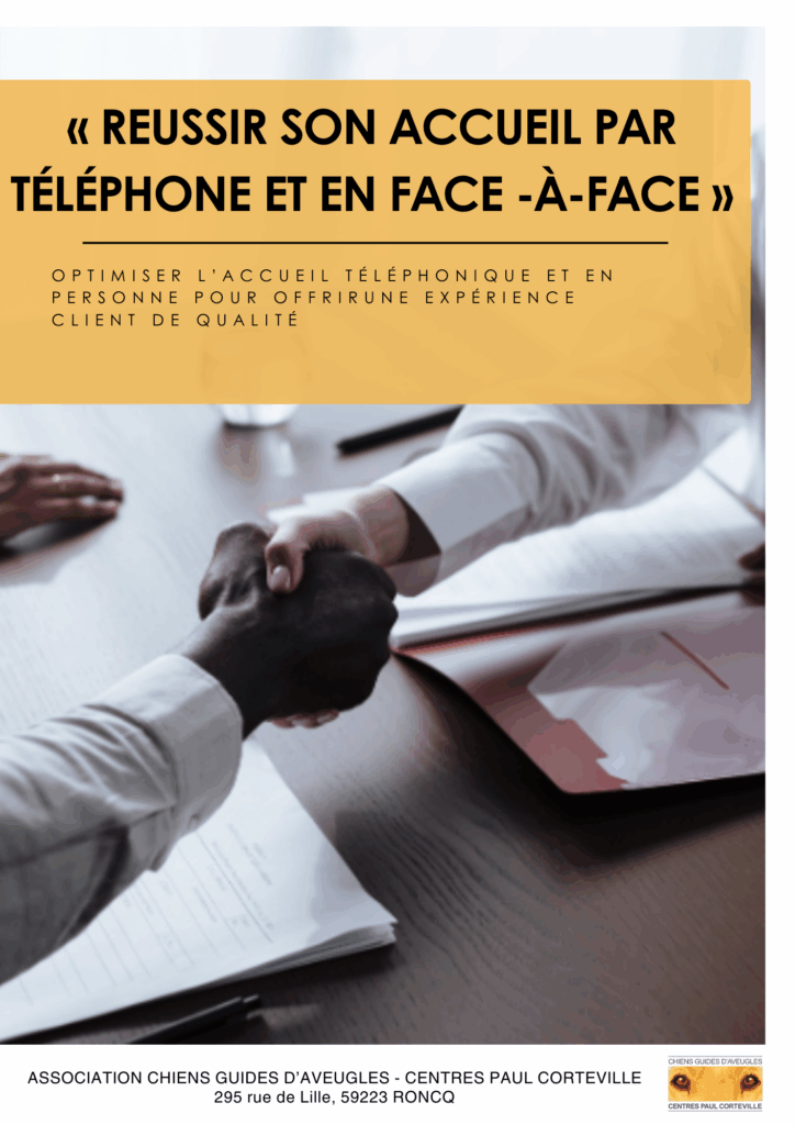 réussir son accueil - formation déficient visuel