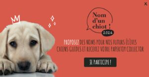 Nom d'un chiot 2026
