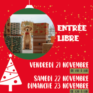 marché de noêl 2025 Roncq