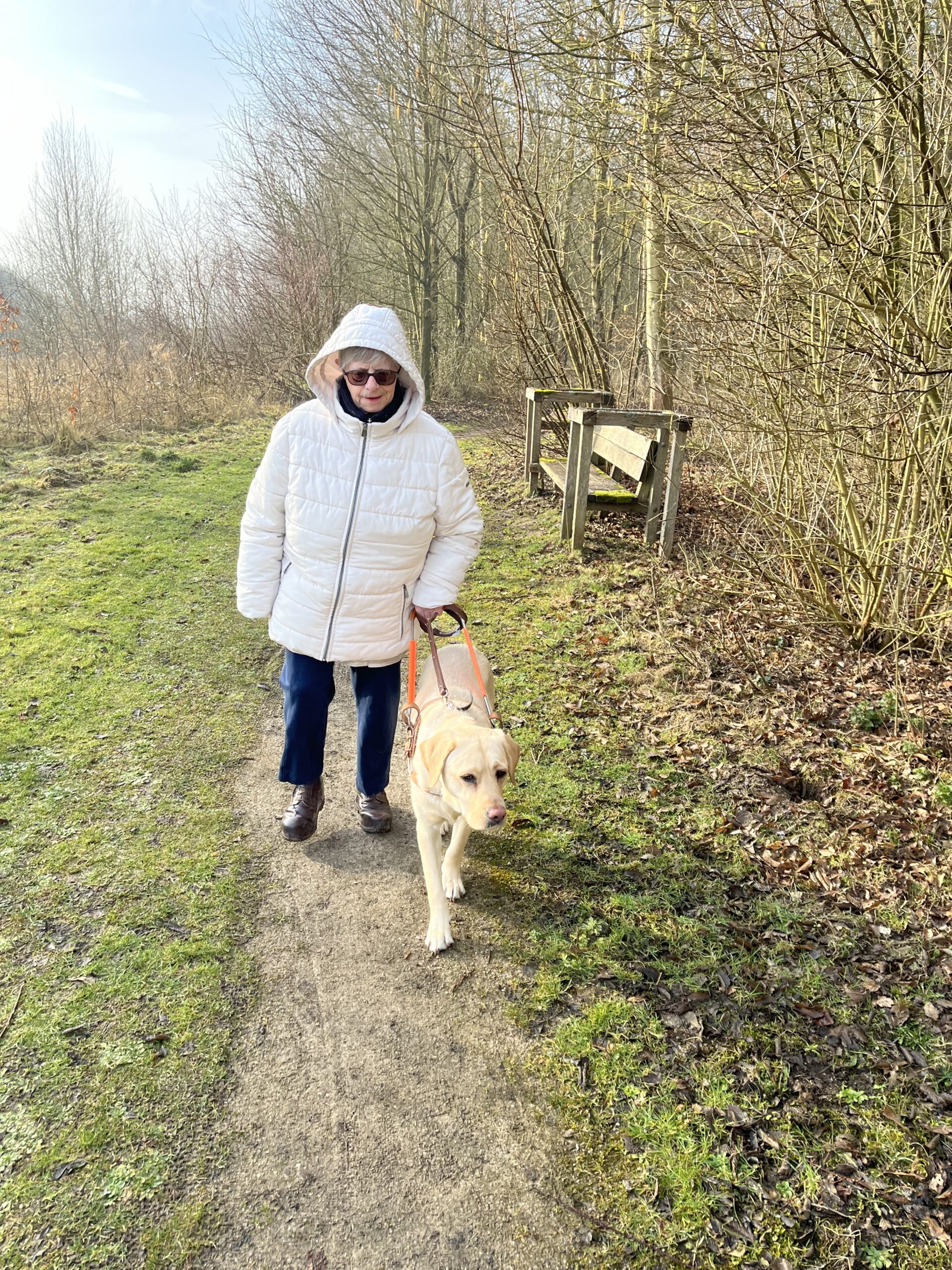Upsa, chien guide remis à Chantal Pellet