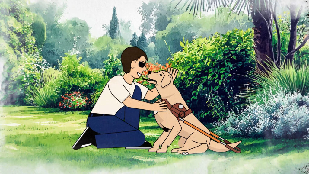 Vidéos centres paul corteville assciation